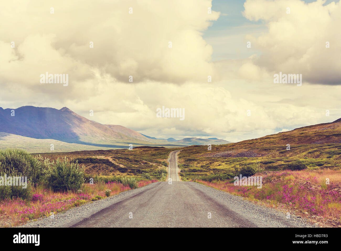 Road in Alaska Stock Photo - Alamy