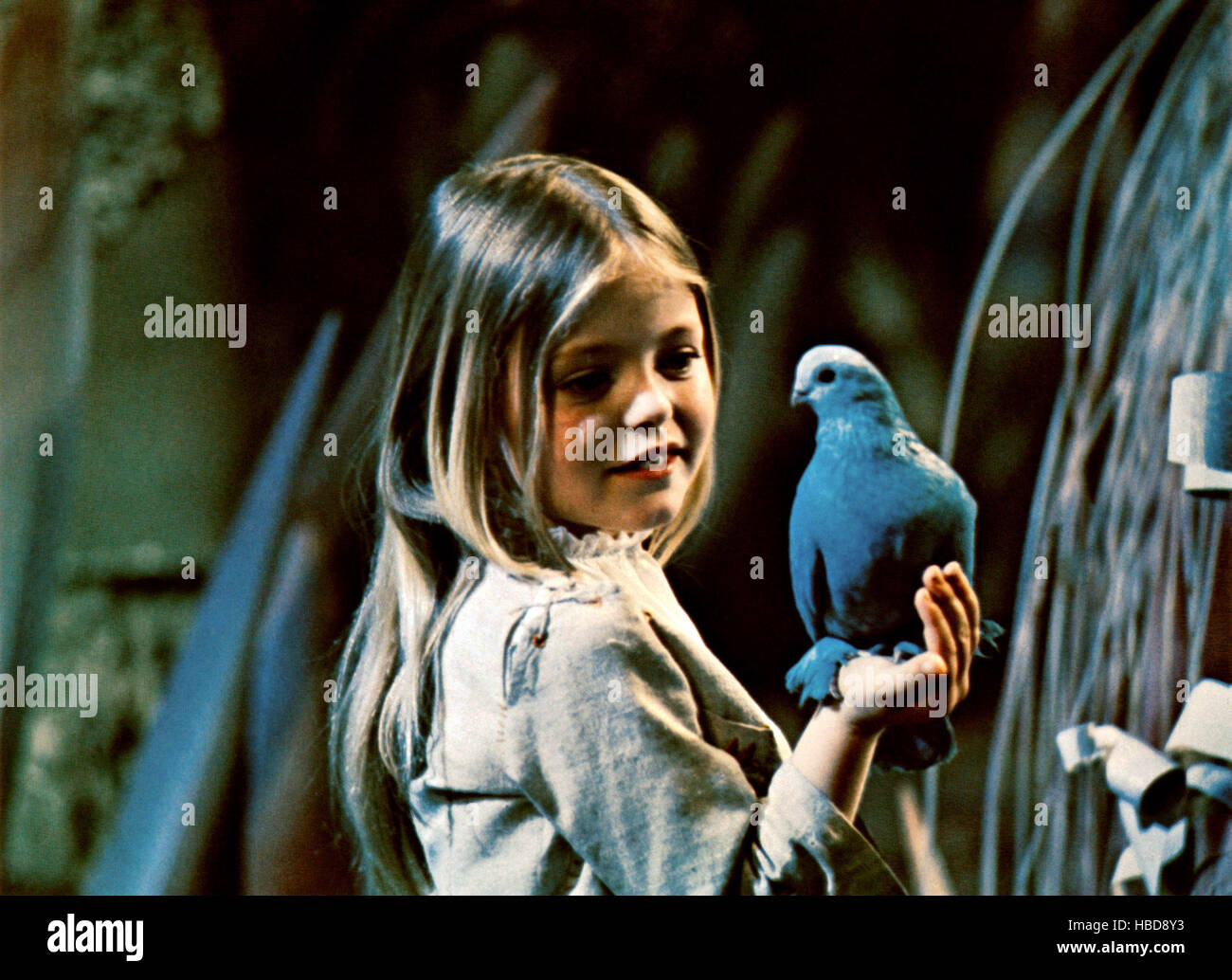 Дети синей птицы. Элизабет Тейлор синяя птица. Джейн фонда синяя птица.