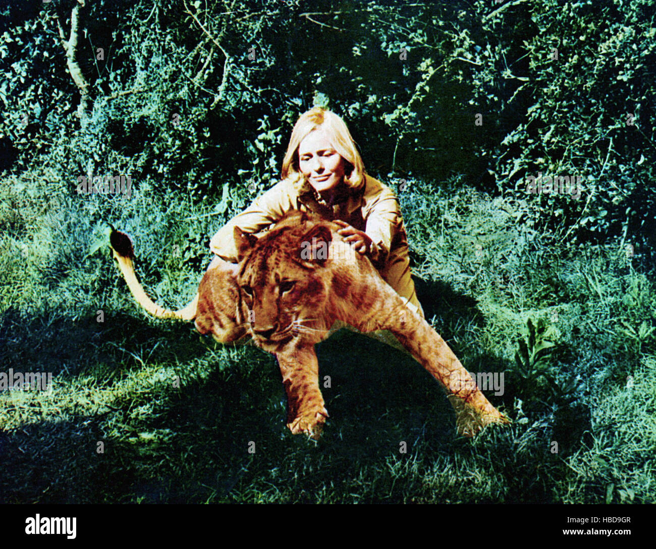 Born Free Elsa The Lion