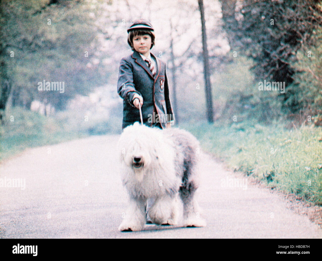 DIGBY, THE BIGGEST DOG IN THE WORLD, Richard Beaumont, 1973 Stock Photo Alamy