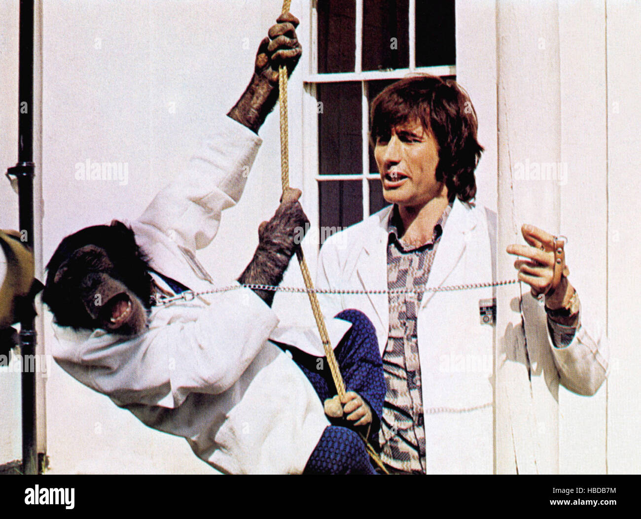 DIGBY, THE BIGGEST DOG IN THE WORLD, Jim Dale, 1973 Stock Photo Alamy