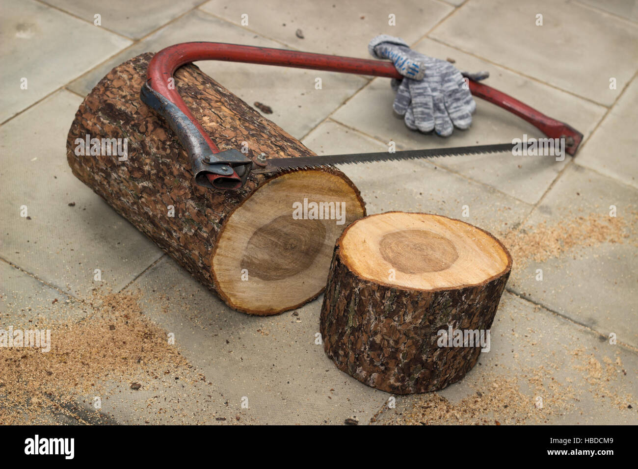 Pieces of wood sawn off for birdhouse Stock Photo