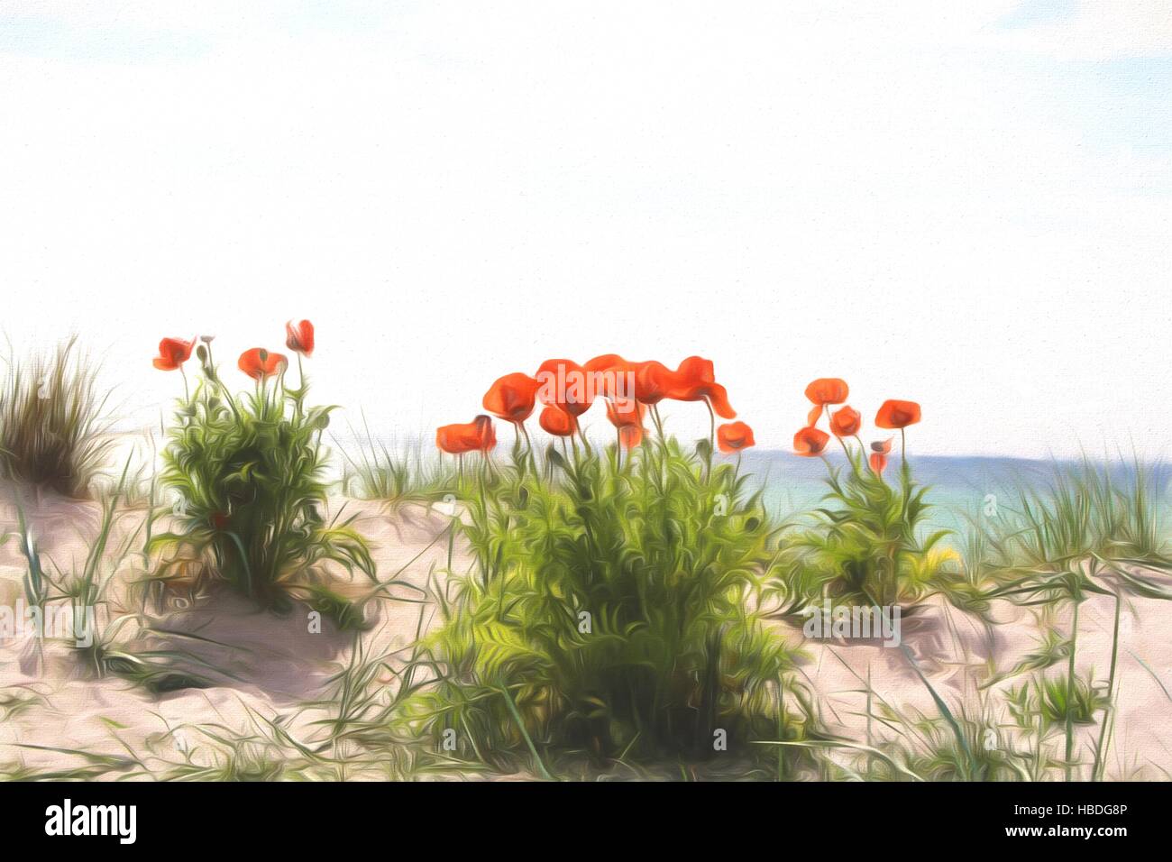 Poppy - Flowers Stock Photo - Alamy