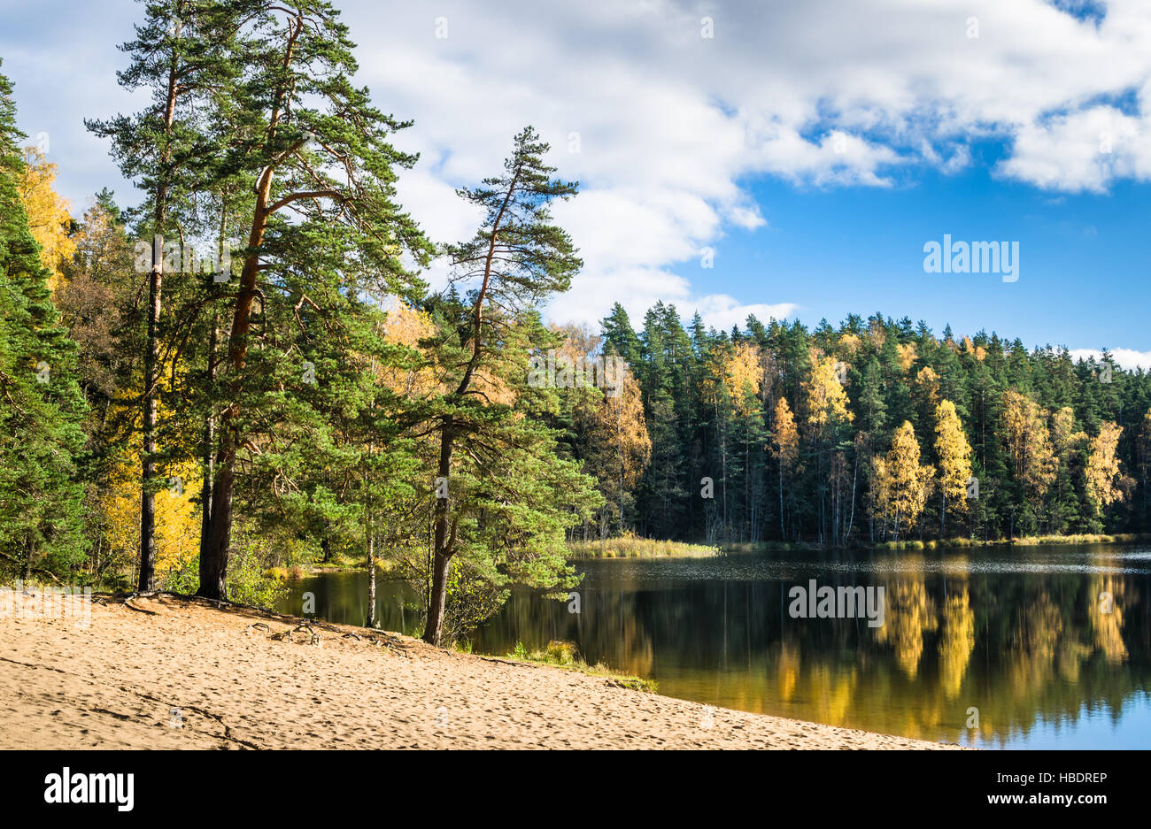 Beautiful autumn landscape with forest Lake Stock Photo - Alamy