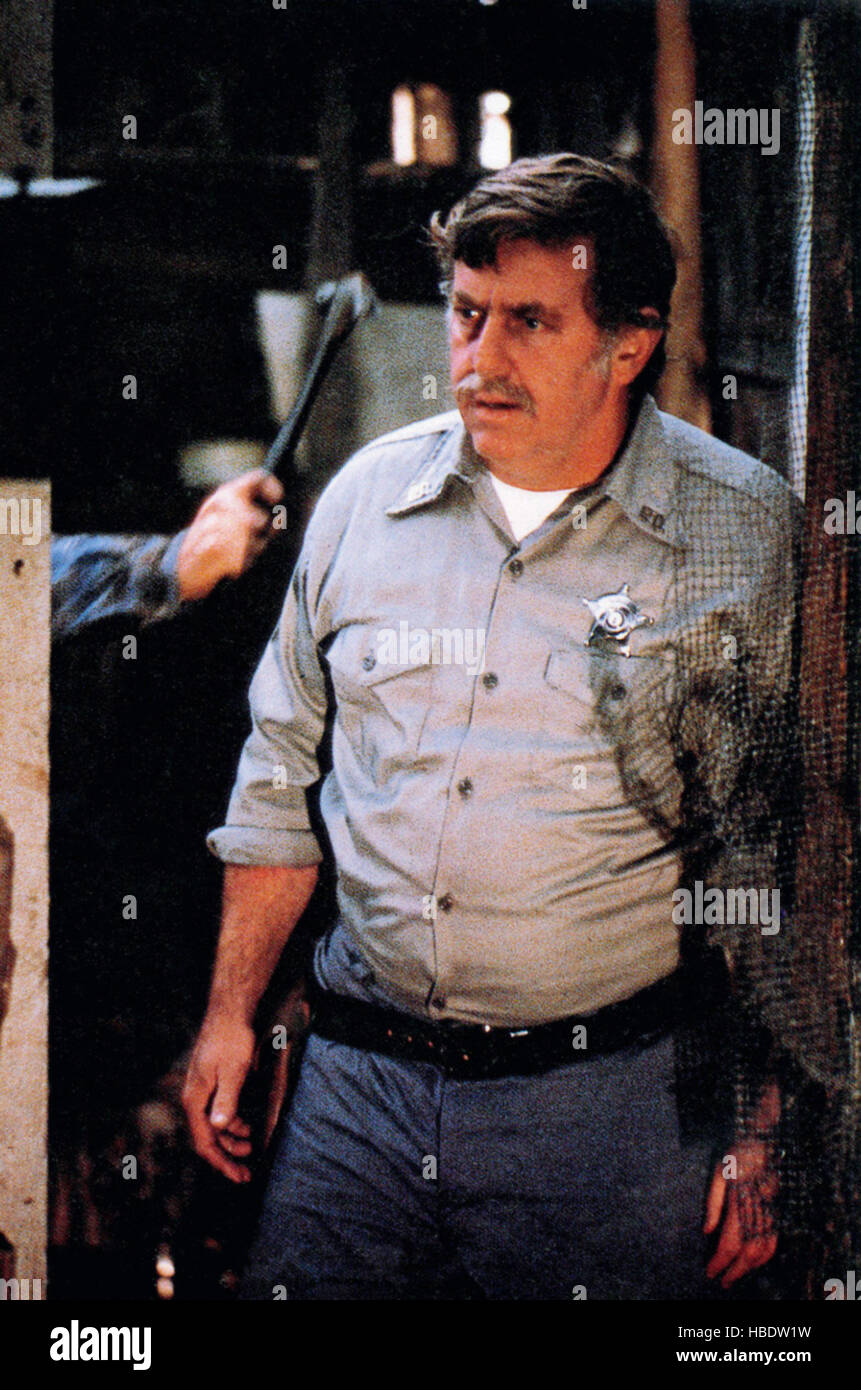 "друзья навеки". ,. Marks and jacks. джек маркс. Jack marks.