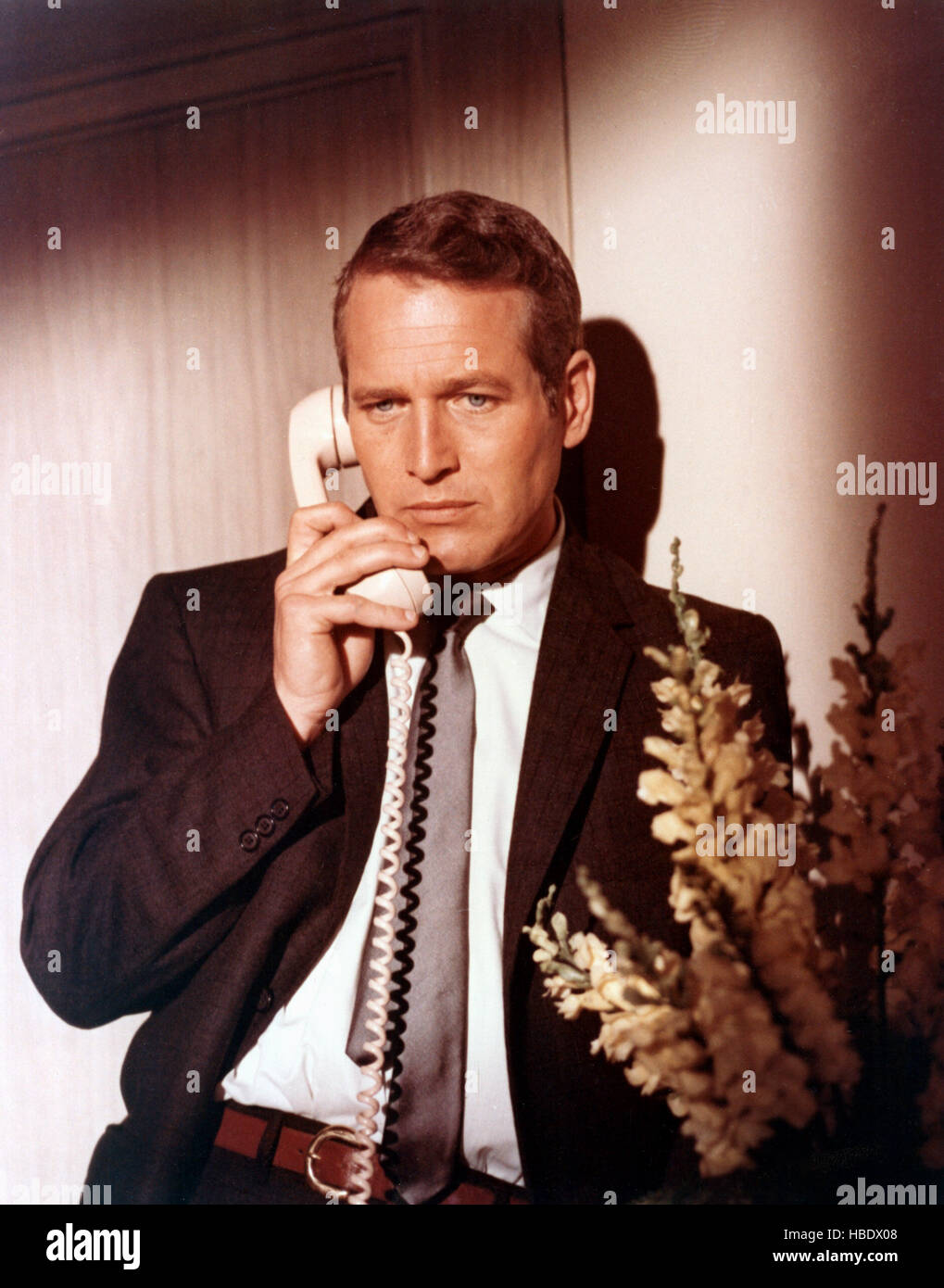Pyper Newman HARPER, Paul Newman, 1966 Stock Photo - Alamy