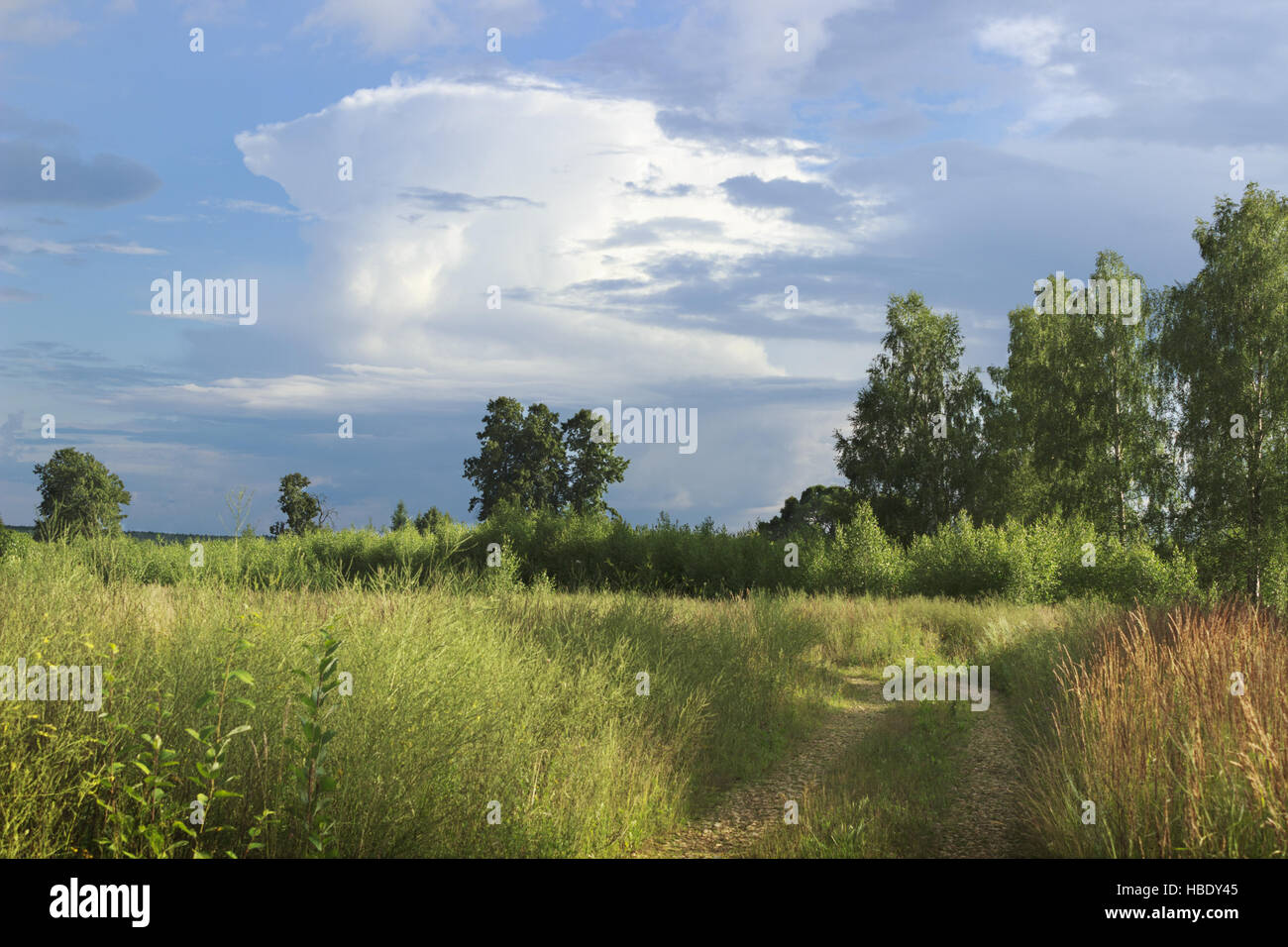 Offensive thunderstorm in the summer Stock Photo