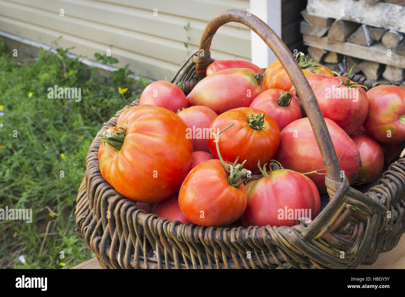 Red tomatoes in a wicker basket Stock Photo - Alamy