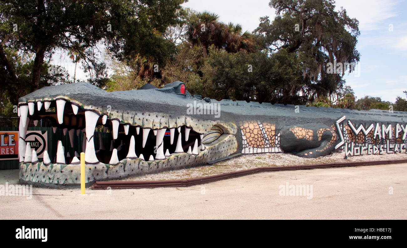 Meet Swampy, the World's Largest Alligator at Jungle Adventures in Christmas, FL — a massive roadside reptile and photo op you can’t miss! Stock Photo