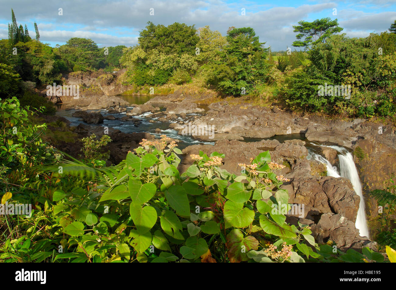 Wailuku River, Waianuenue Falls, Rainbow Falls, Wailuku River State