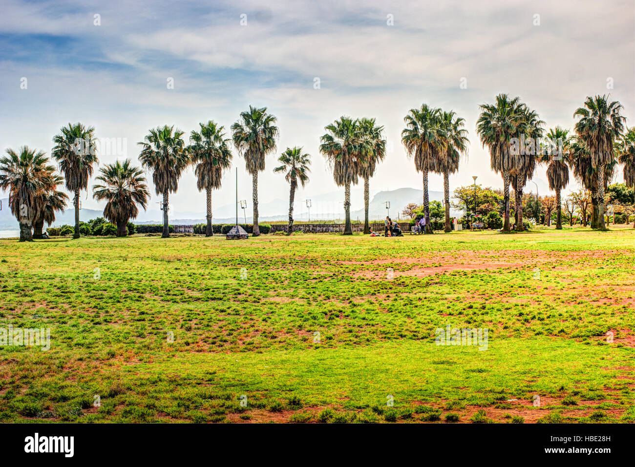 Palm trees along the coast in Palermo at beautiful sunny day Stock ...