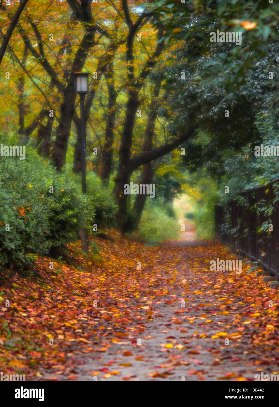 Soft focus road hi-res stock photography and images - Alamy