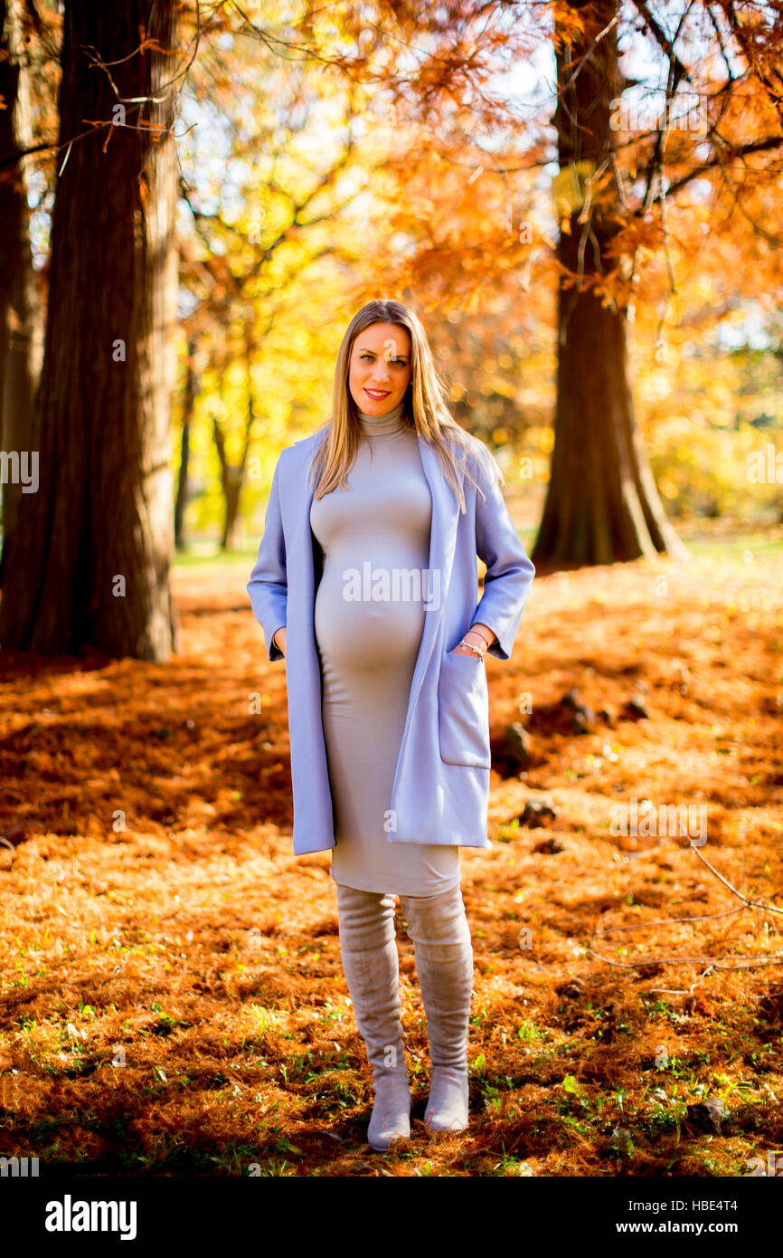 Pregnant woman posing in the autumn park Stock Photo