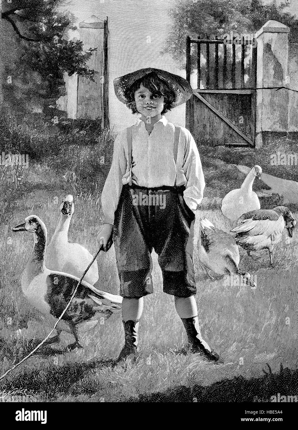 City child in the summer holidays in the country, while heeding the geese, illustration, woodcut from 1880 Stock Photo