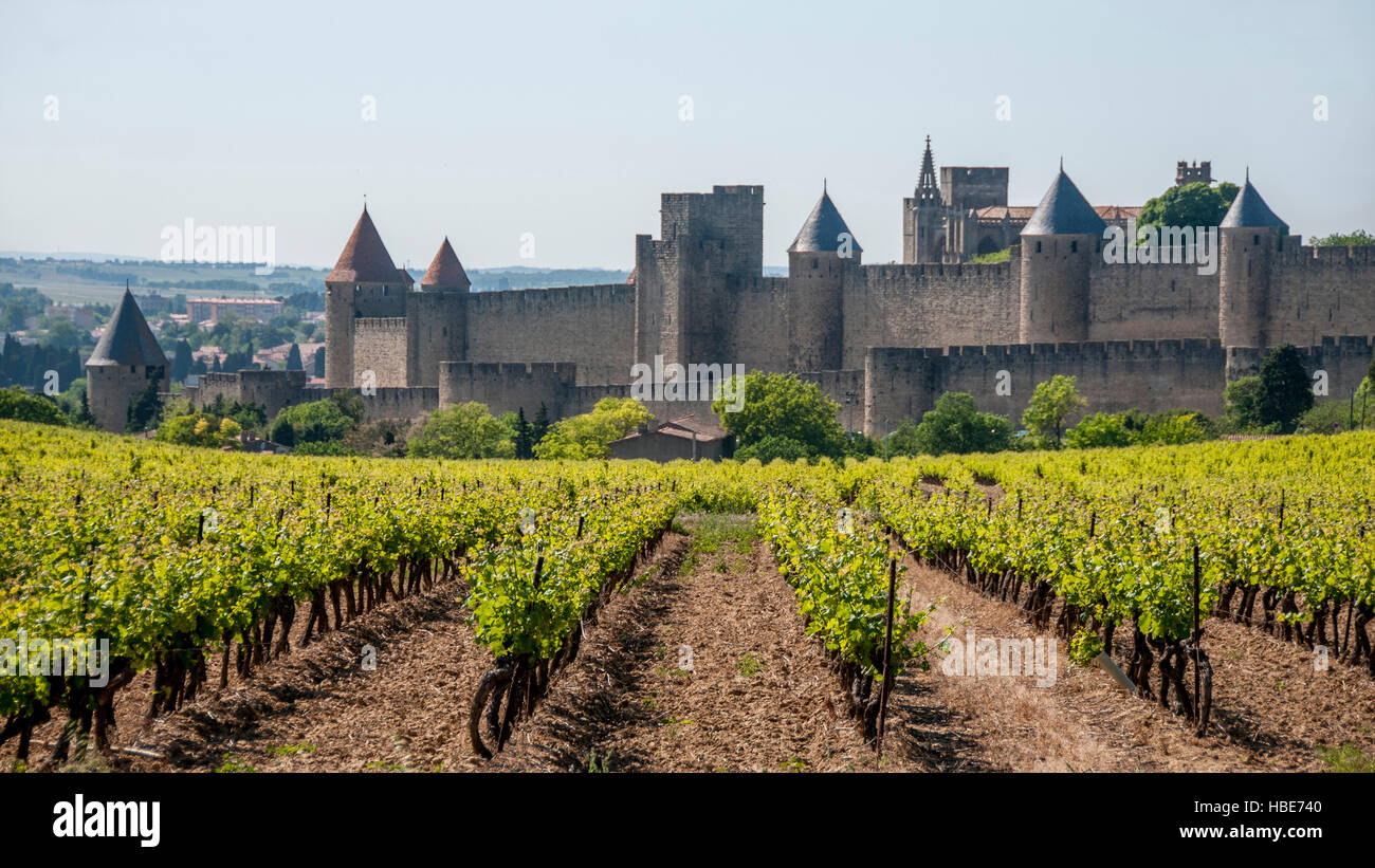 Walls of the medieval city of Carcassonne, Aude, Occitanie, France, Europe Stock Photo