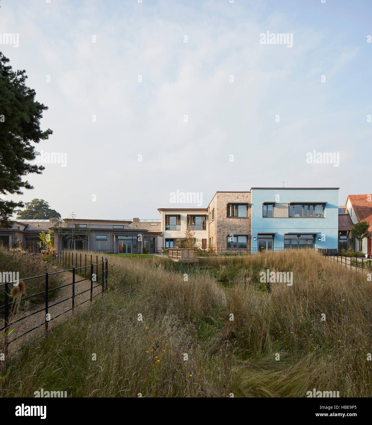 Landscaped hospice garden with view to inpatient wing and reception
