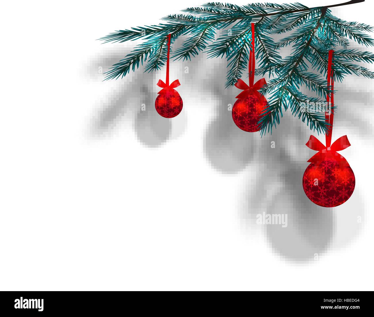 Blue Christmas tree branches on an isolated white background with the ...