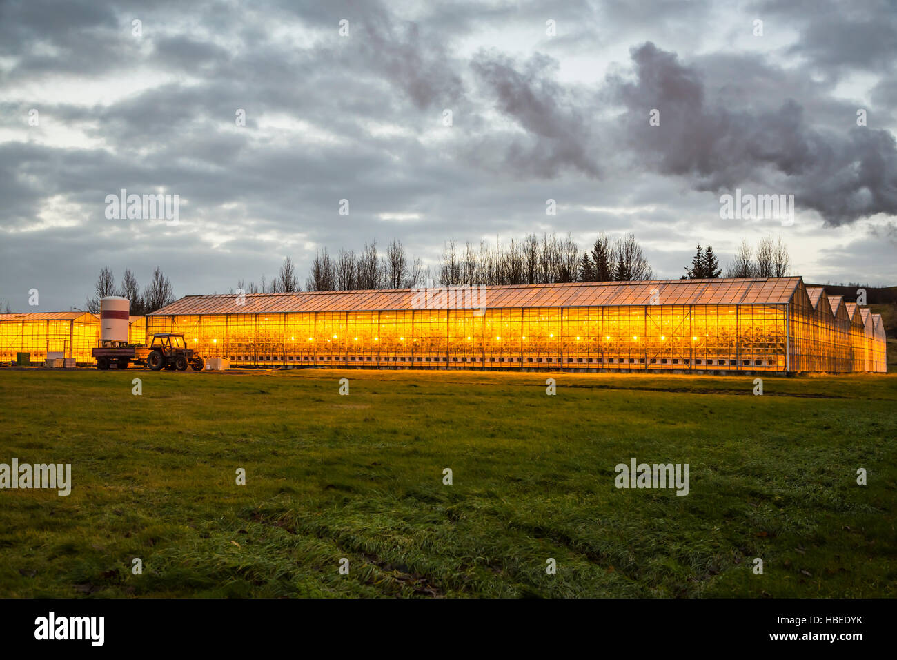 The orange glow of high pressure sodium lamps at the Fridhiemer greenhouses in southwestern Iceland, Europe. Stock Photo
