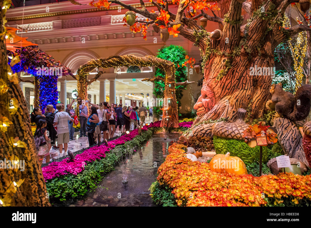 Fall season in Bellagio Hotel Conservatory & Botanical Gardens in Las Vegas. Stock Photo