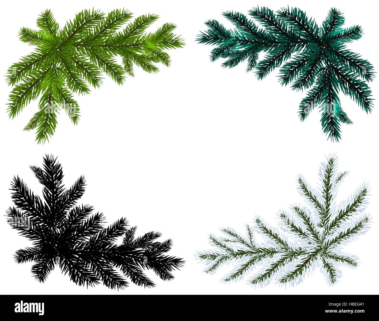 Set. Blue, black, white and green Christmas tree branches on an ...