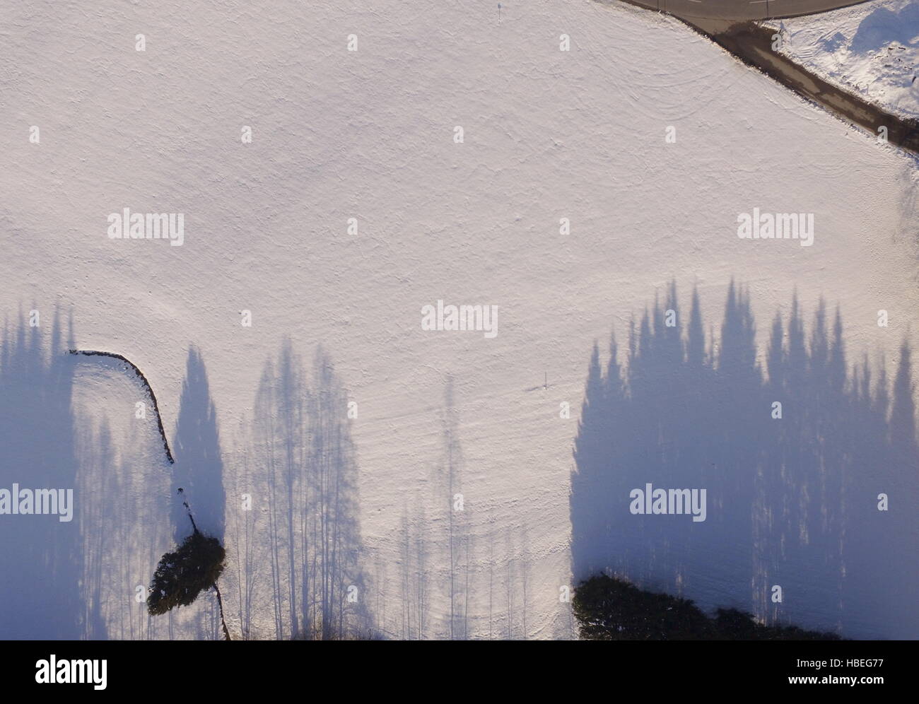 Aerial flight over tree line hi-res stock photography and images - Alamy