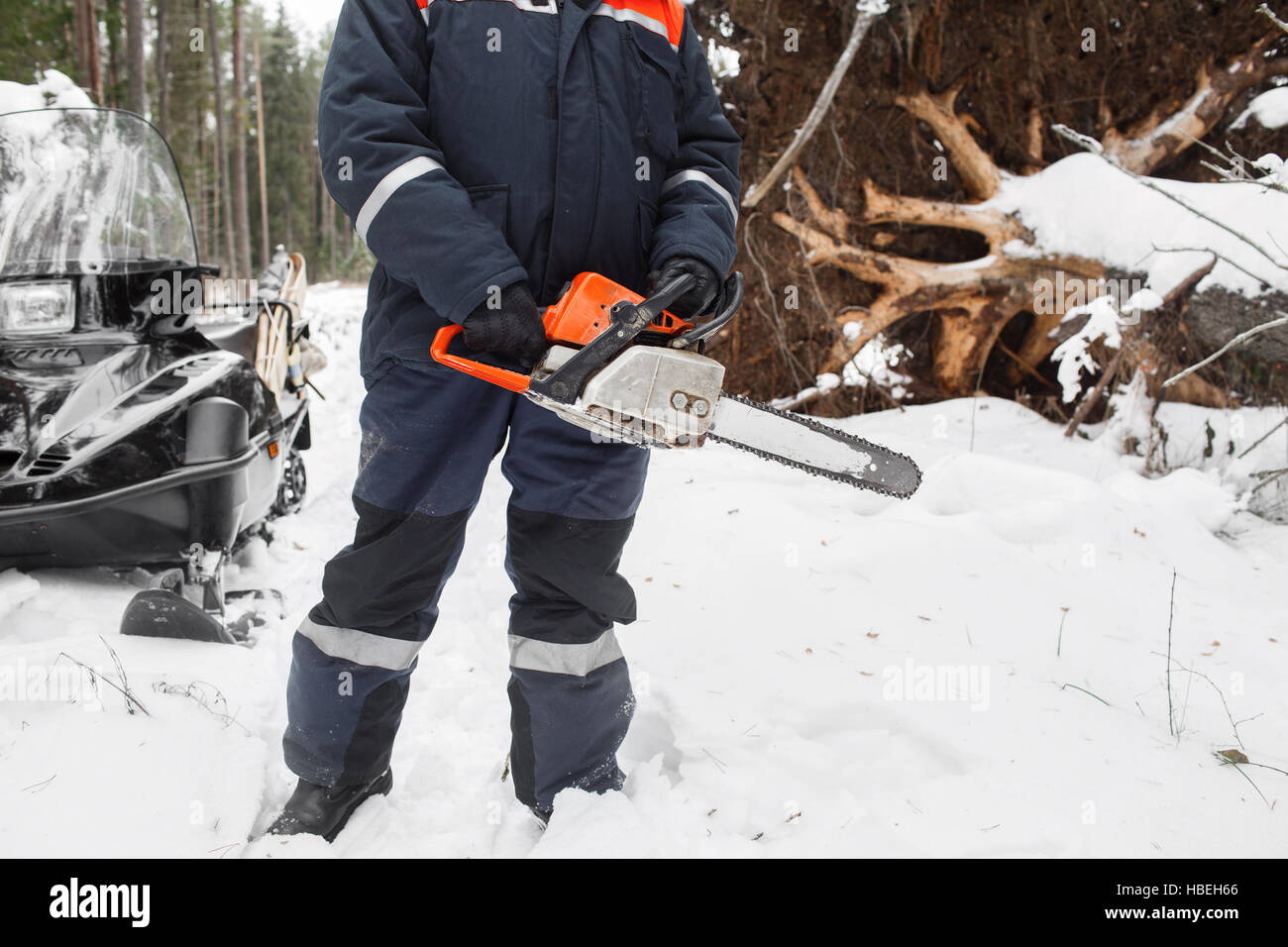 Proffesional Lumberjack hold hand saw. Winter wearing protection