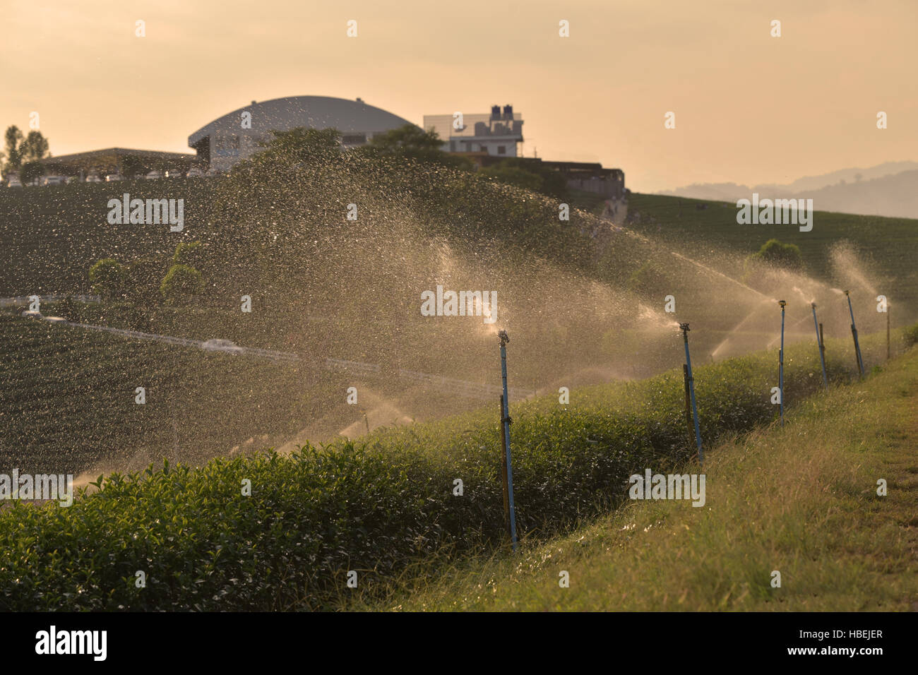 Device of irrigation garden. Irrigation system technique of watering