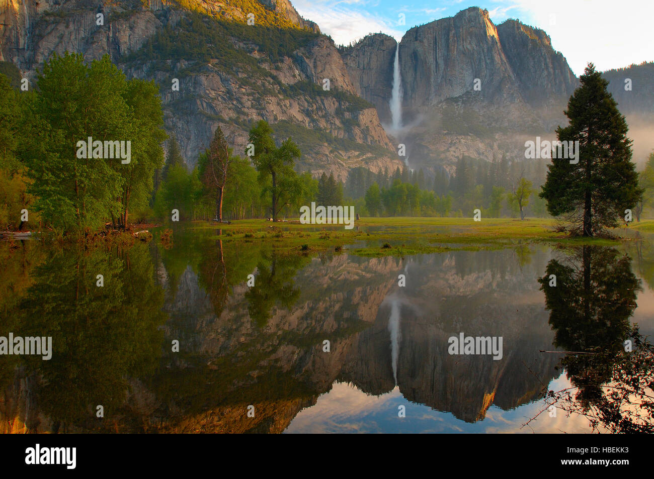 Yosemite Falls and Leidig Meadow Fir Reflected at Dawn, Spring Flood in Leidig Meadow, Yosemite National Park Stock Photo