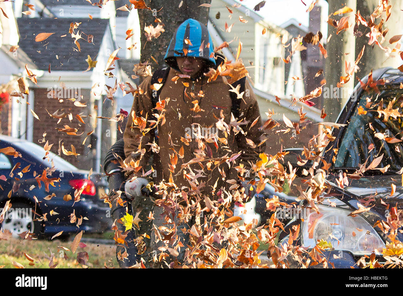 Blowing leaves hires stock photography and images Alamy