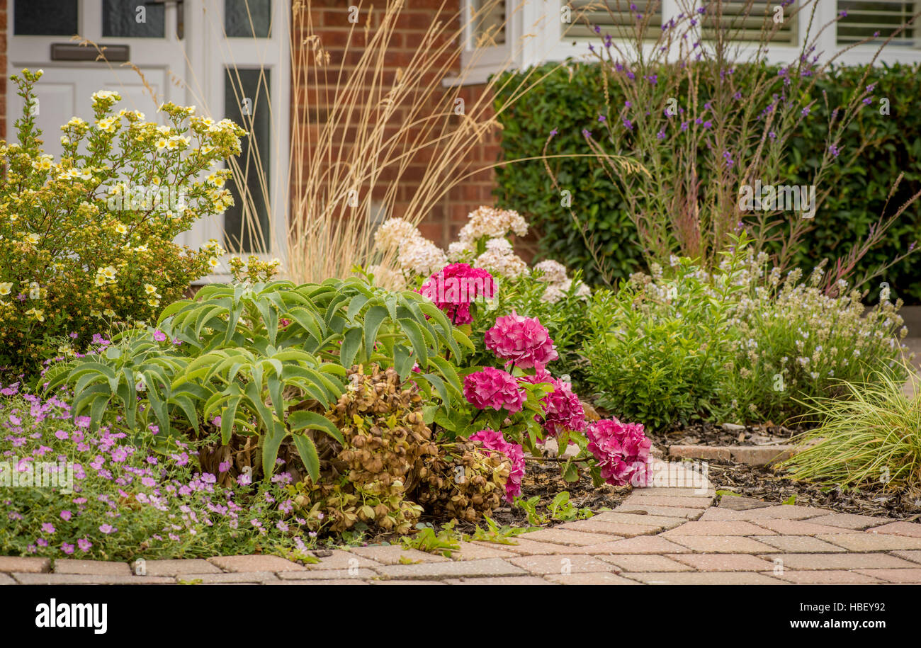Flower beds set within block paving driveway at front of house. Stock Photo