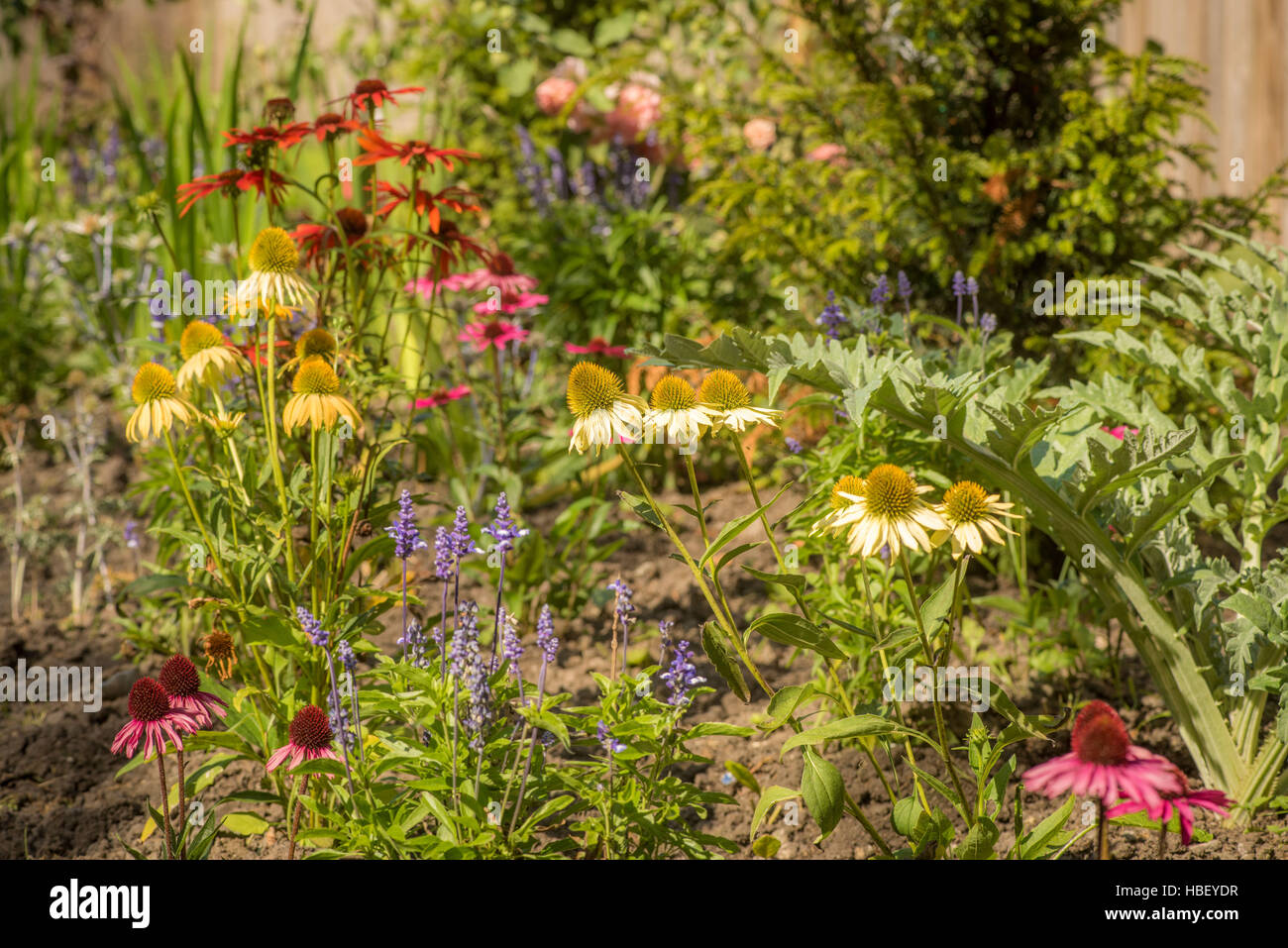Mixed flower bed hires stock photography and images Alamy
