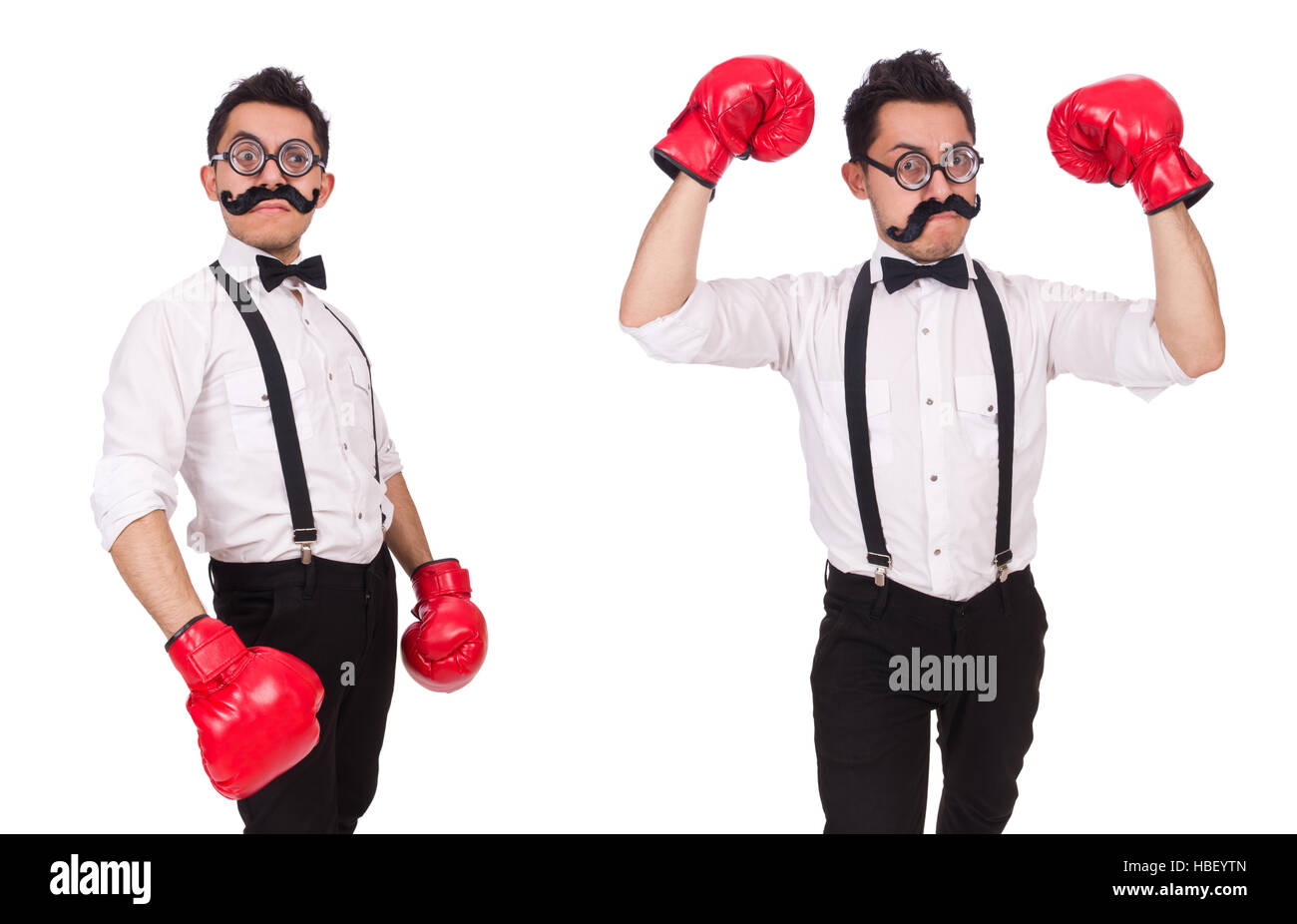Funny boxer isolated on the white background Stock Photo - Alamy