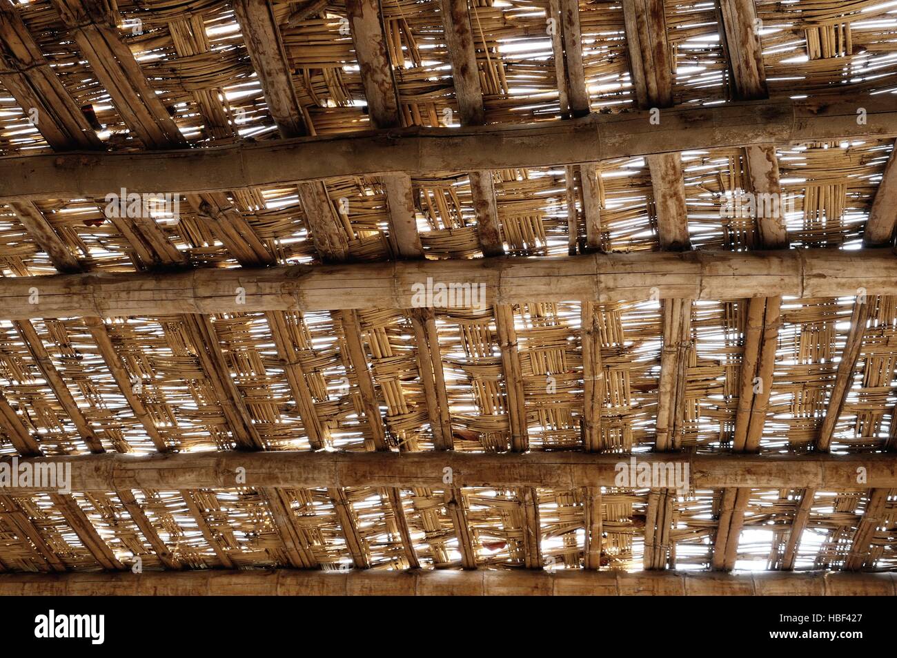 Sunshield in pipe Reed Stock Photo - Alamy