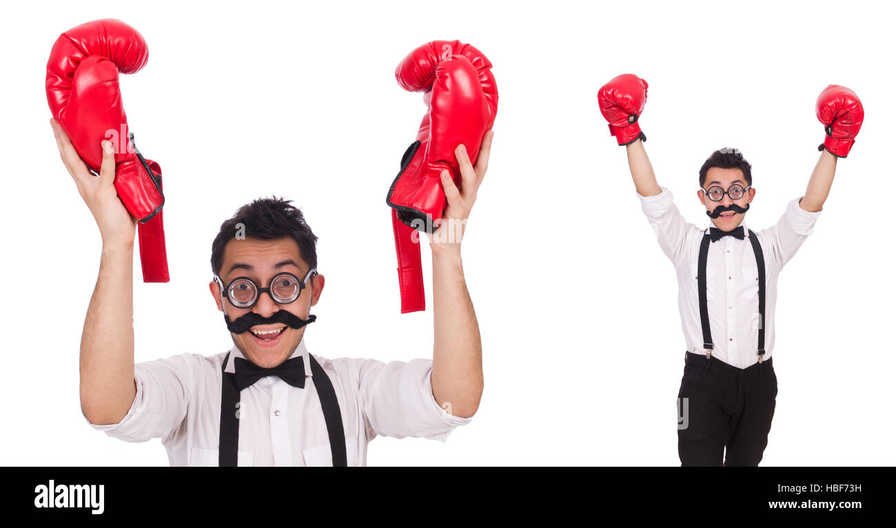Funny boxer isolated on the white background Stock Photo - Alamy