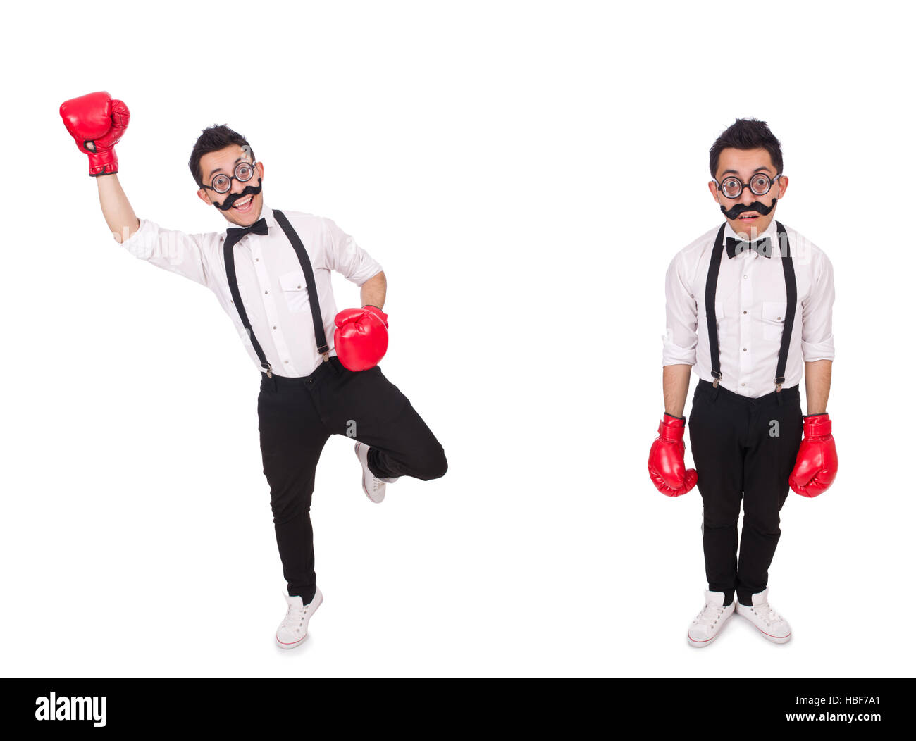 Funny boxer isolated on the white background Stock Photo - Alamy