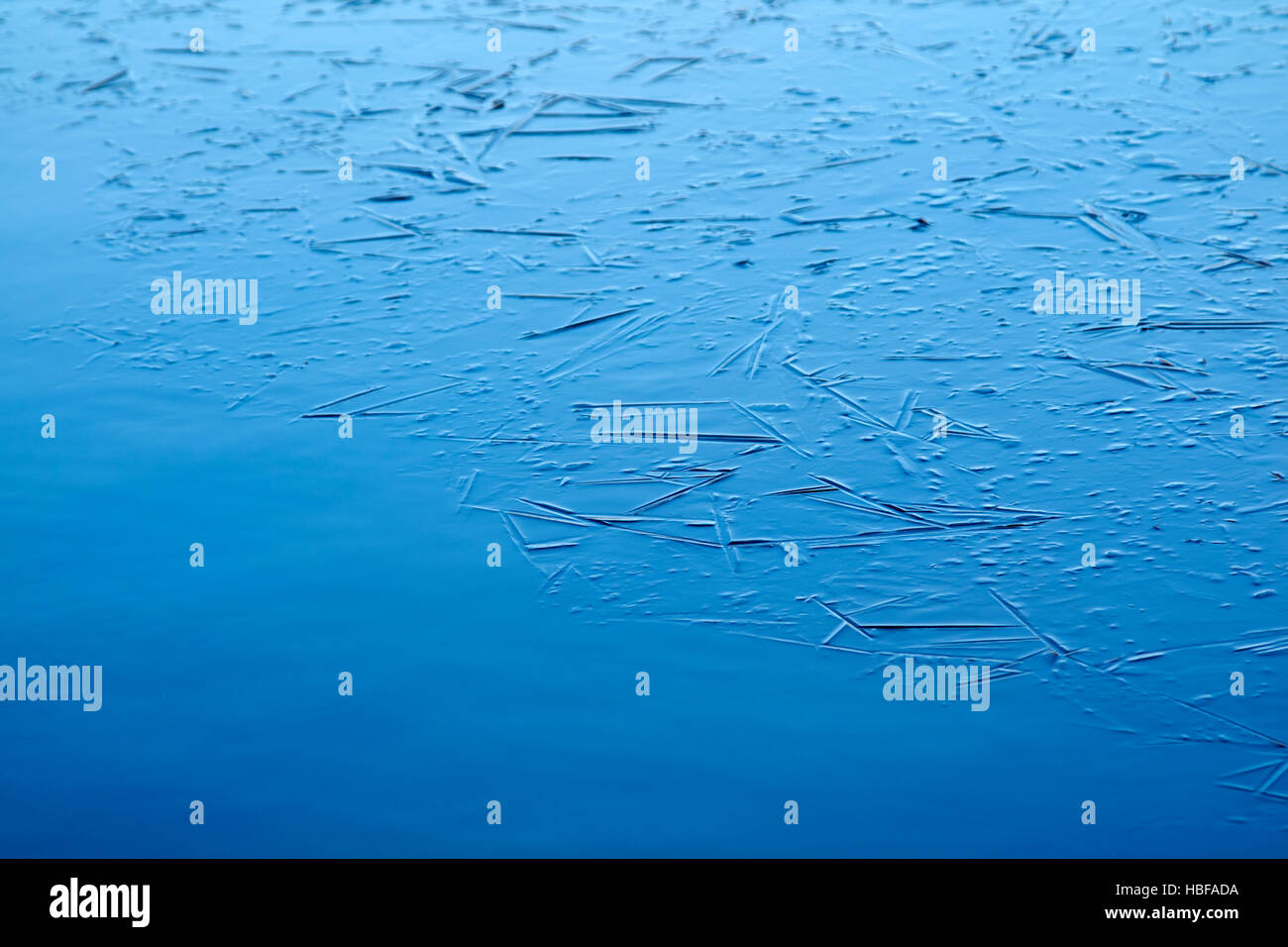 blue edge of freezing water on frozen small lake pond on a cold winter morning in the uk Stock Photo