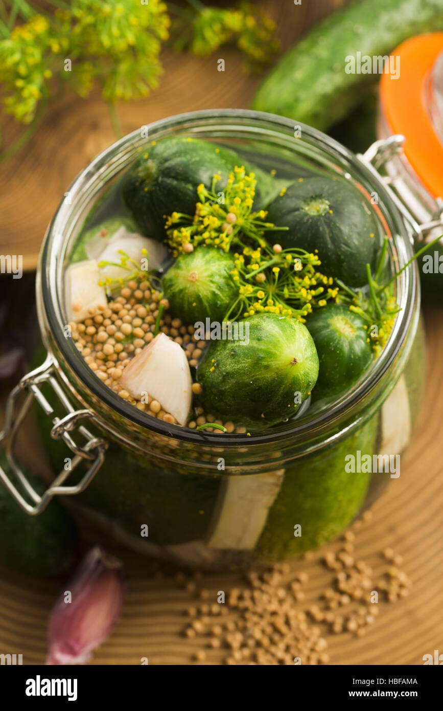 Closeup of fresh pickling cucumbers Stock Photo Alamy