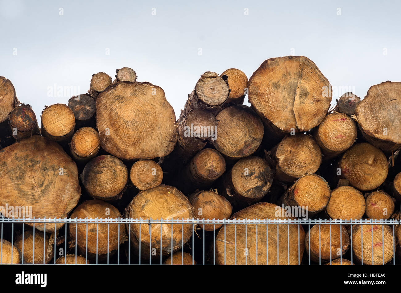 timber beams Stock Photo