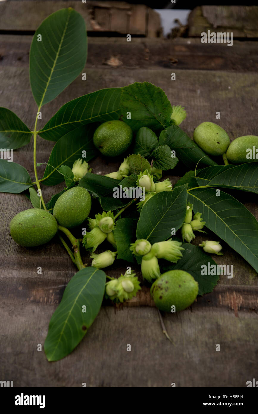 nuts, haselnuts, walnuts Stock Photo