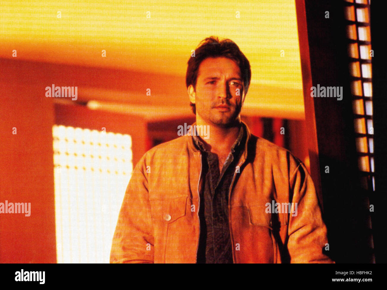 THE PERFECT WEAPON, Jeff Speakman, 1991, © Paramount/courtesy Everett