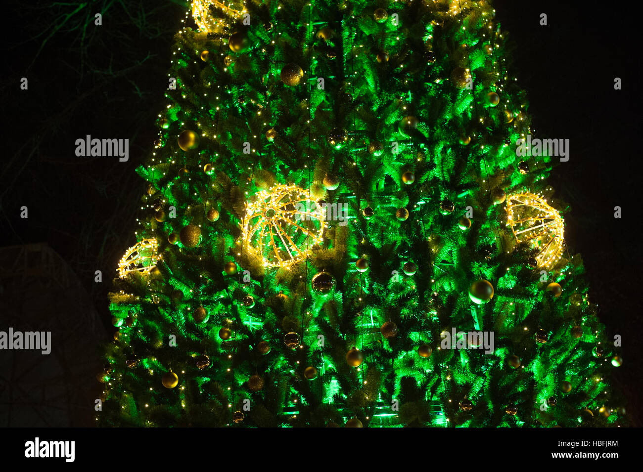 Green Christmas tree with garlands Stock Photo