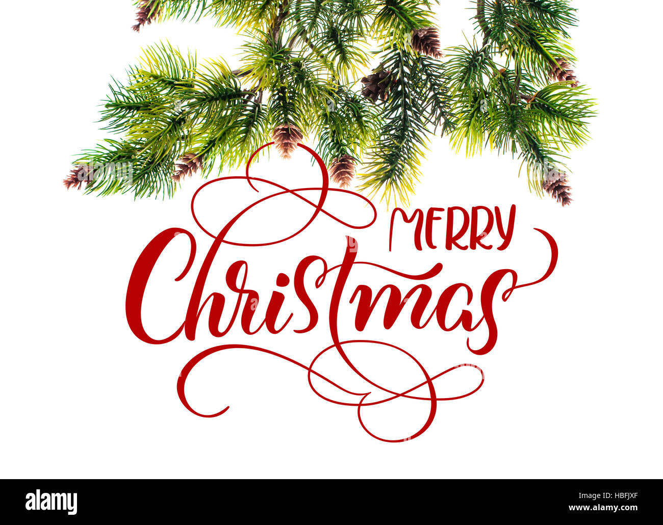 Fir branches in the snow on a white background and text Merry Christmas ...