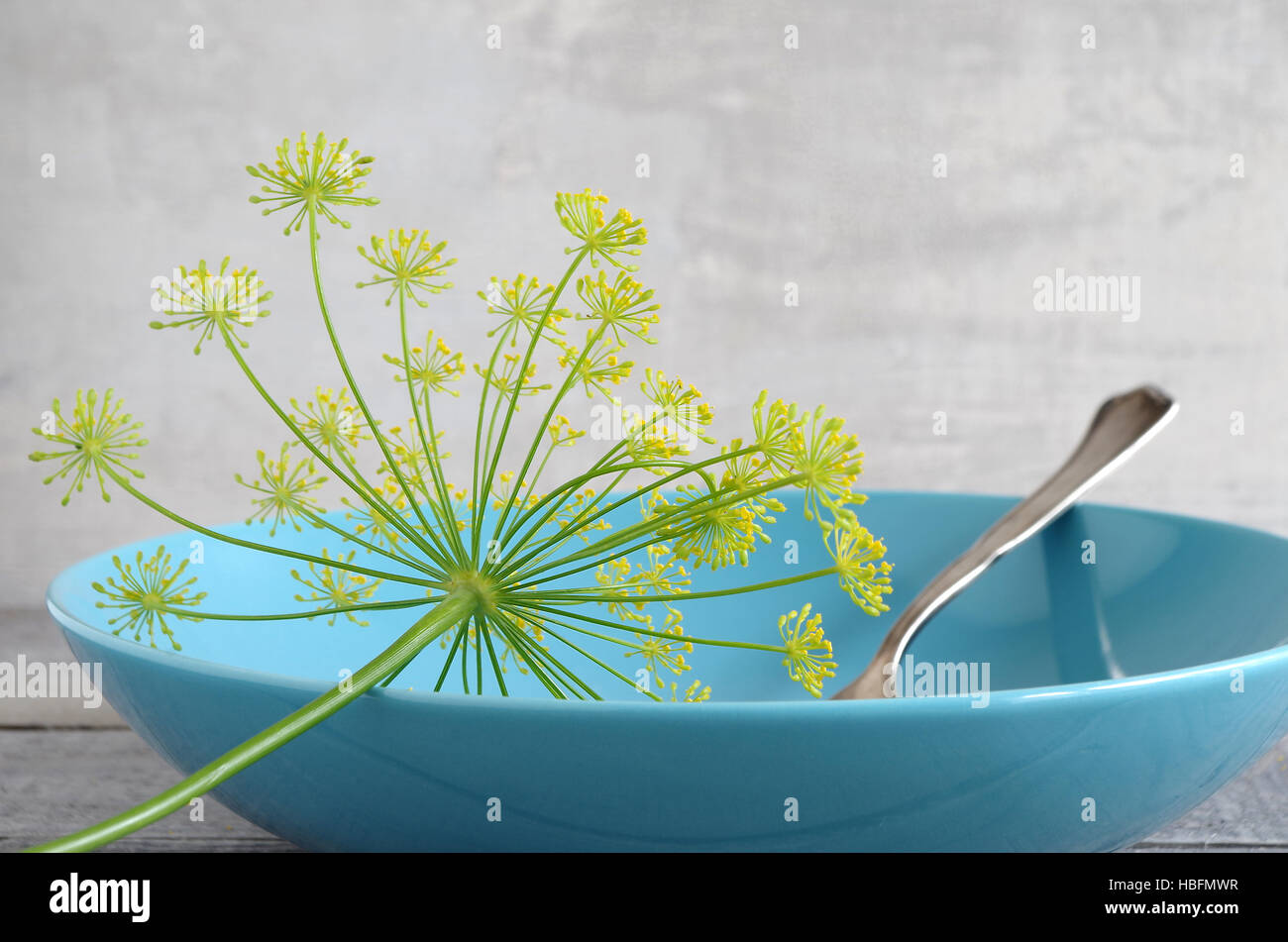 Dillweed High Resolution Stock Photography and Images Alamy