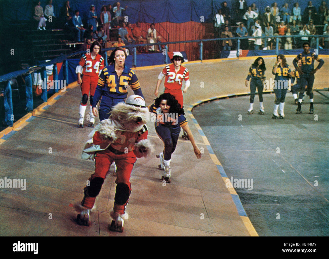 THE SHAGGY D.A., 1976 Stock Photo Alamy