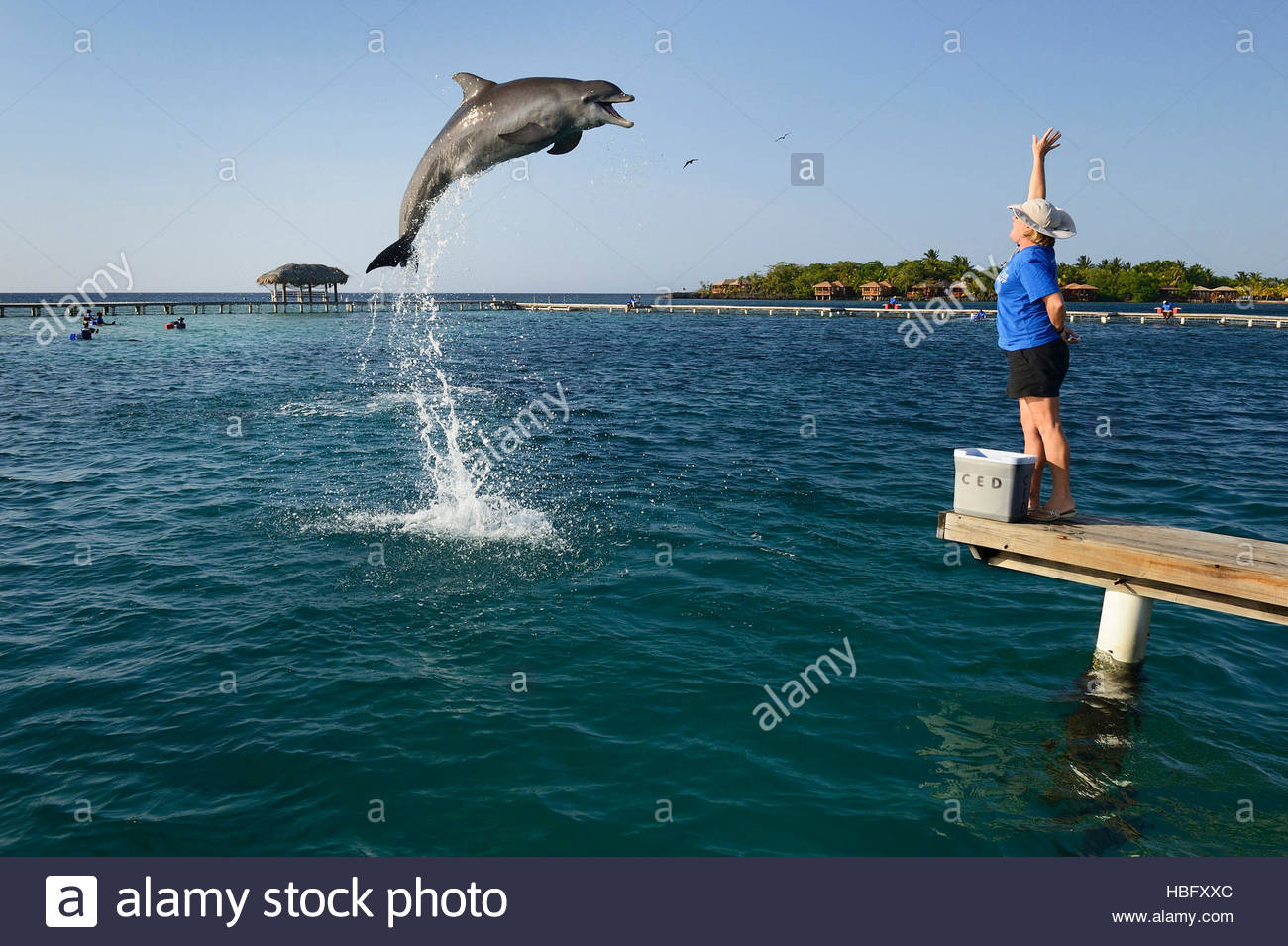 Hand Signals Stock Photos & Hand Signals Stock Images Alamy