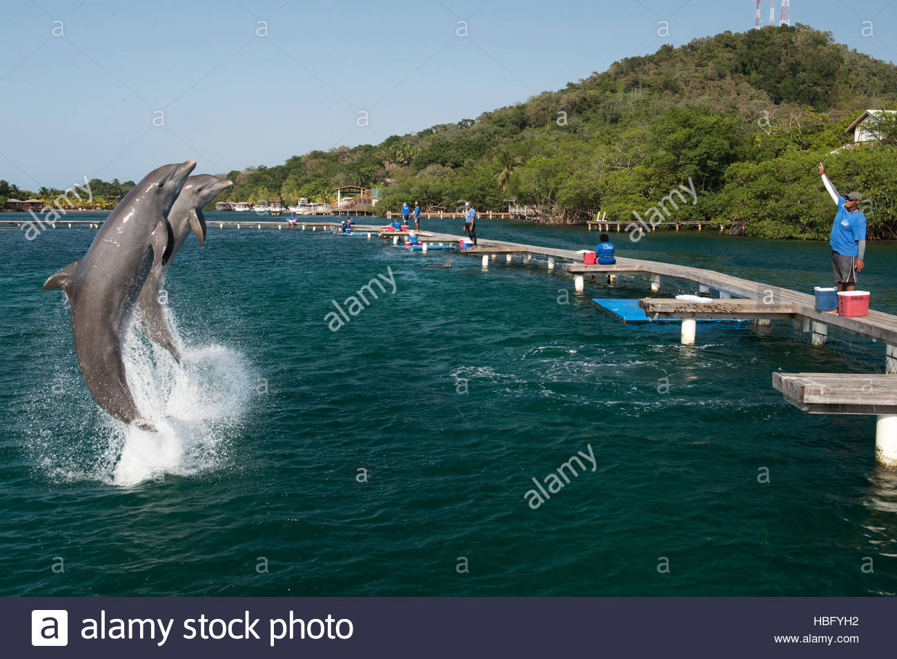 Hand Signals High Resolution Stock Photography and Images Alamy