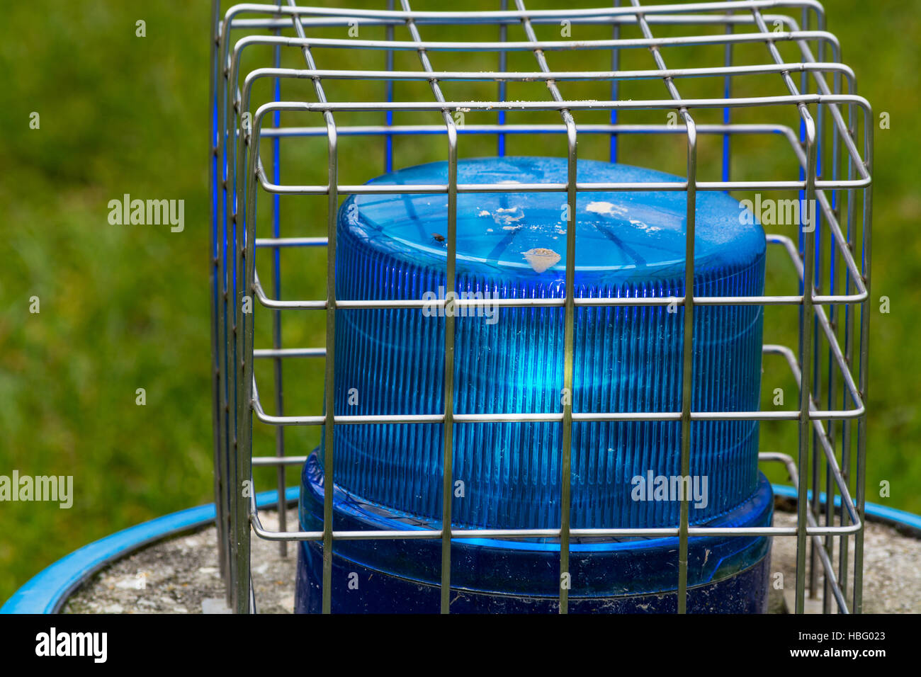 Blue flashing light in the wire cage Stock Photo Alamy