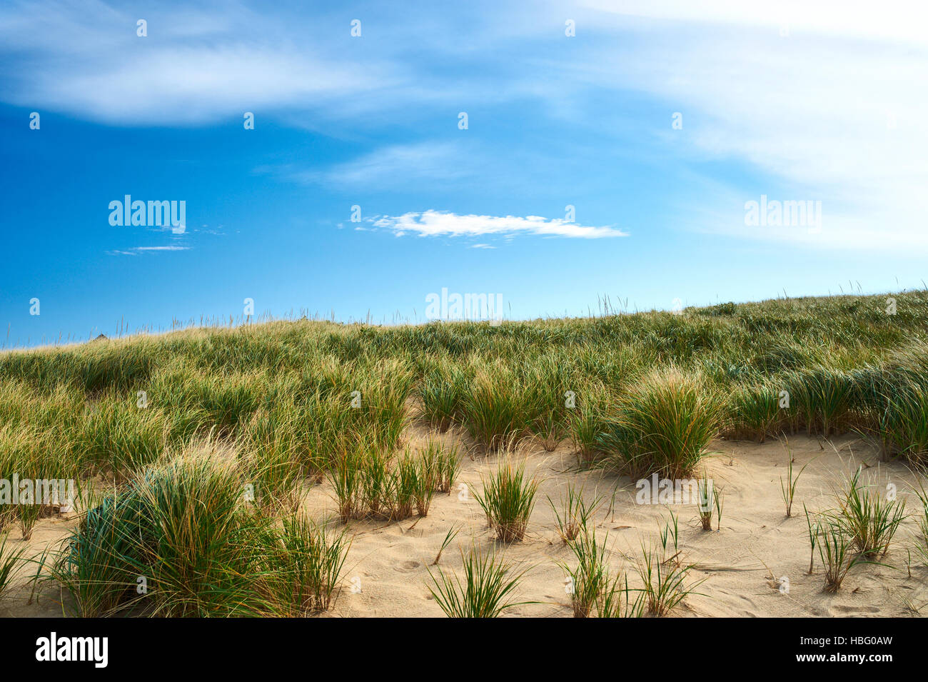 Landscape with sand dunes at Cape Cod Stock Photo