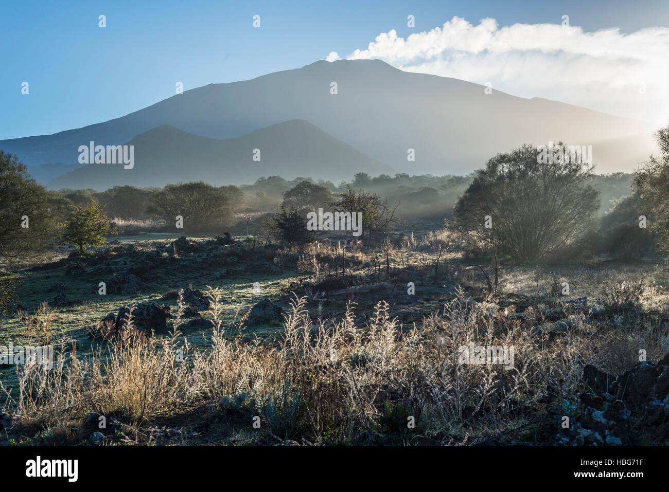 Piano dei Grilli, morning mists, Mount Ruvolo, western flank of Mount Etna, volcanoes, Bronte, Sicily, Italy Stock Photo