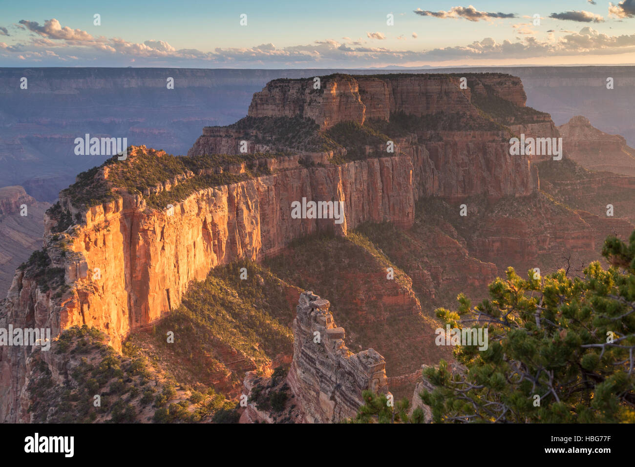 View of Grand Canyon, rock massif, North Rim, Grand Canyon National Park, Arizona, USA Stock Photo